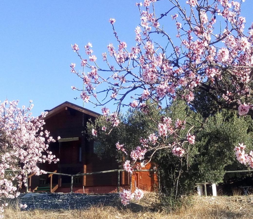 Dom wakacyjny Casa La Colina Mandarina I Tahal